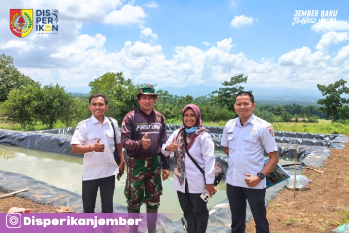 verifikasi-kolam-siap-bantuan-benih-ikan-segera-disalurkan-di-desa-suci-20251204