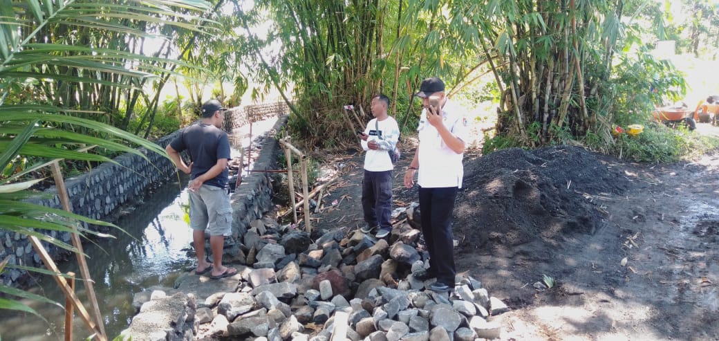 proyek-emas-biru-500-meter-di-gebang-bbws-brantas-turun-tangan-pertanian-jember-siap-panen-raya-20251204