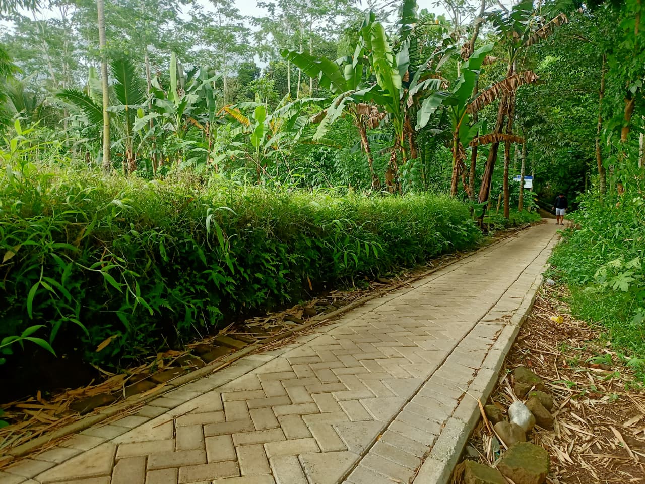 rampung-pemasangan-paving-bantuan-dinas-prkp-cipta-karya-di-lingkungan-kelurahan-kebonagung-20251208