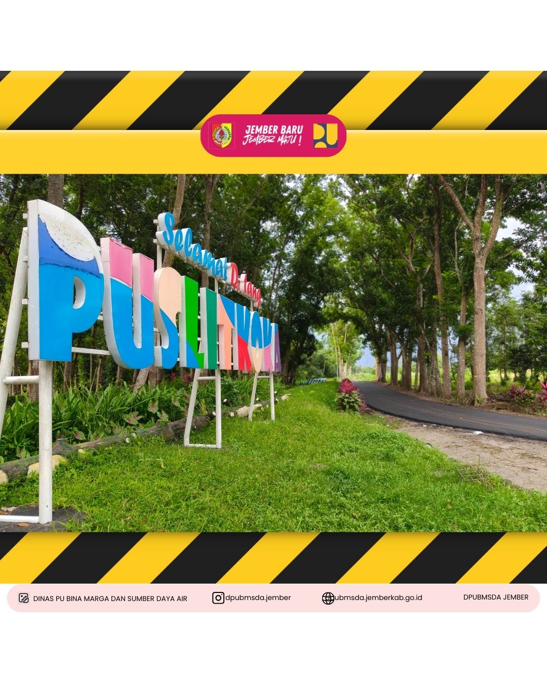 peningkatan-jalan-di-ruas-kebun-renteng-mangaran-sebagai-akses-vital-wisata-edukasi-puslitkoka-jember-20251209