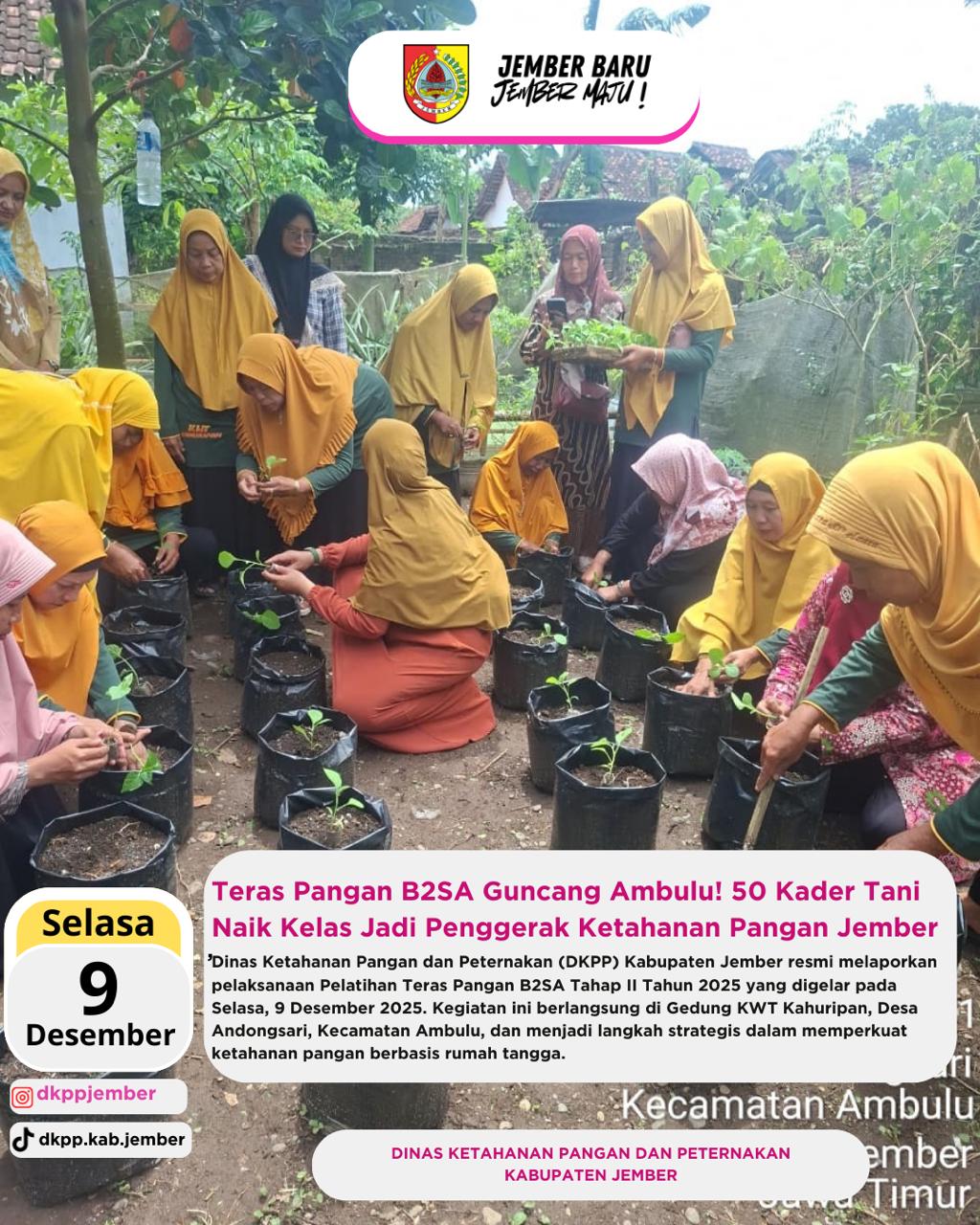 teras-pangan-b2sa-guncang-ambulu-50-kader-tani-naik-kelas-jadi-penggerak-ketahanan-pangan-jember-20251211