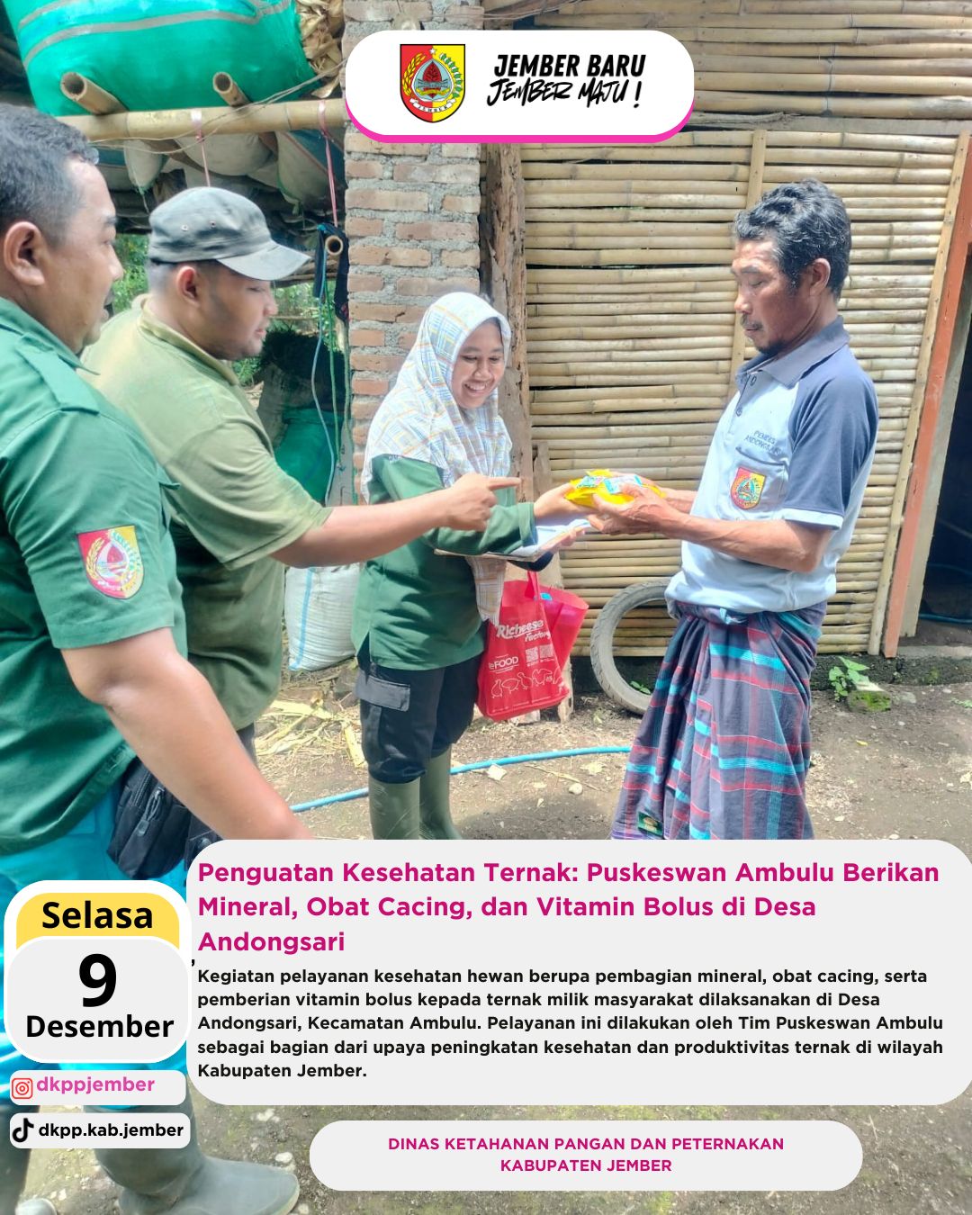 penguatan-kesehatan-ternak-puskeswan-ambulu-berikan-mineral-obat-cacing-dan-vitamin-bolus-di-desa-andongsari-20251211