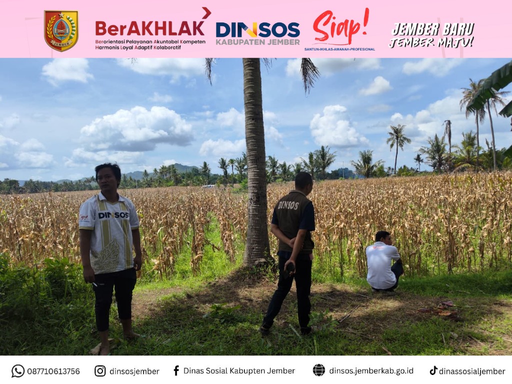 dinsos-jember-lakukan-asesmen-odgj-lansia-terlantar-di-nogosari-rambipuji-20251212