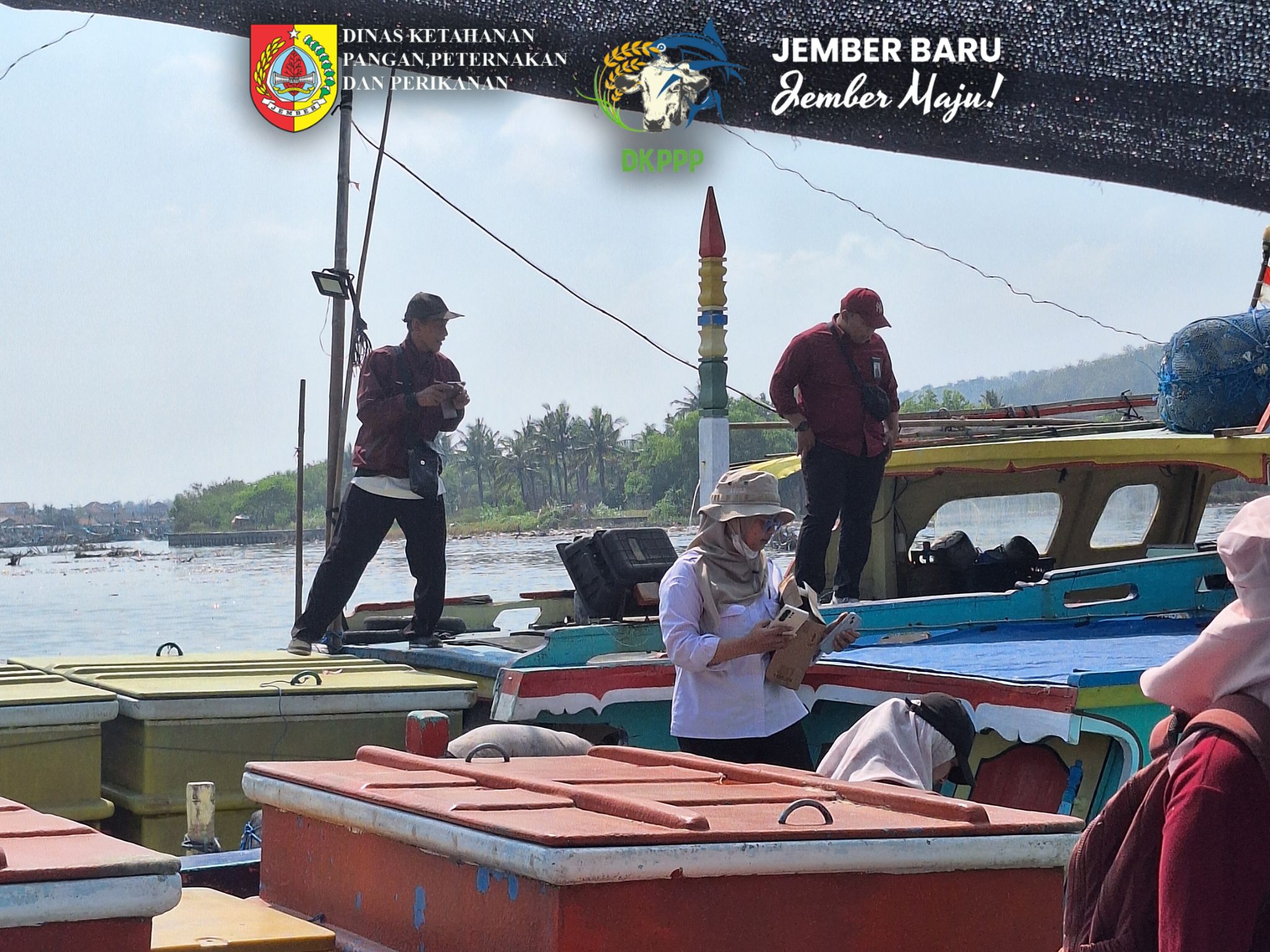 dkppp-jember-gandeng-ppn-prigi-dan-puger-33-dari-52-kapal-lolos-cek-fisik-skkp-20260719