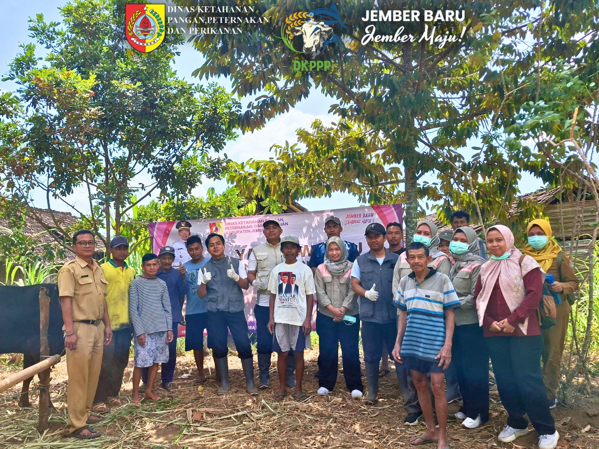 dkppp-jember-layani-60-ekor-ternak-melalui-yankeswandu-di-desa-silo-dorong-produktivitas-peternak-20260722