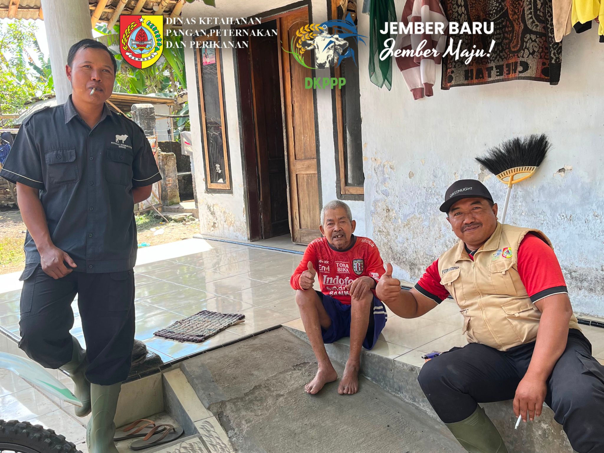 dkppp-jember-tangani-sapi-terinfeksi-endoparasit-di-ambulu-puluhan-ternak-dapat-layanan-kesehatan-terpadu-20260724