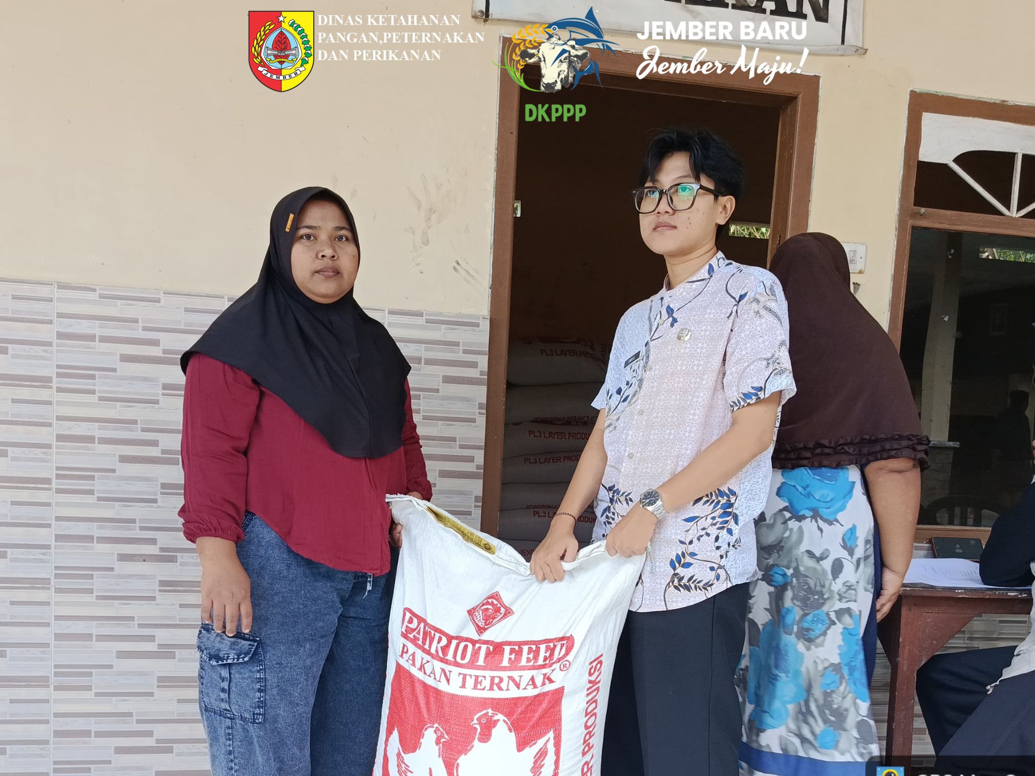 dkppp-jember-pastikan-bantuan-tepat-sasaran-produktivitas-ayam-petelur-terjaga-dan-program-ib-domba-gratis-siap-digulirkan-20260724