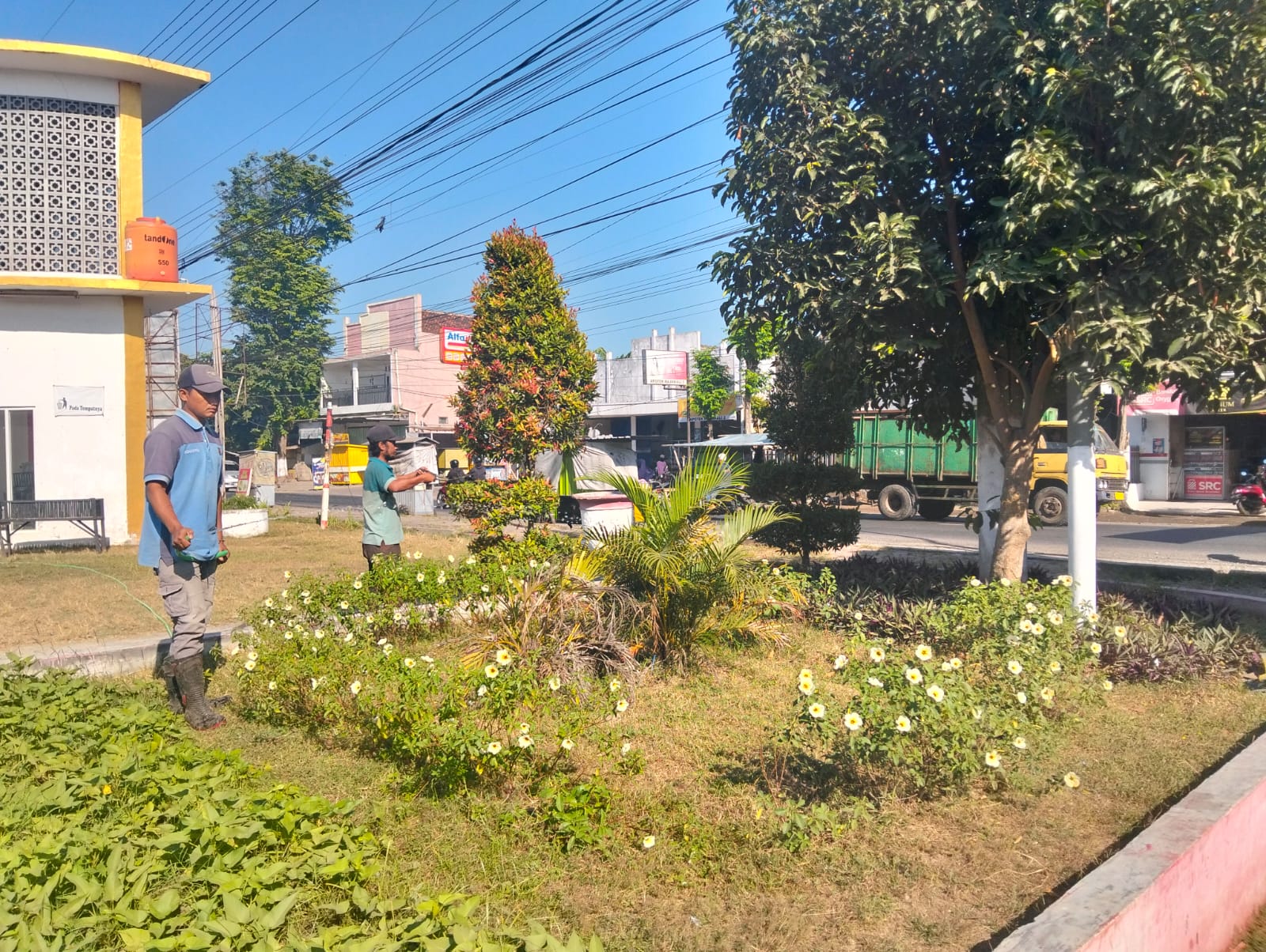 rutin-percantik-rth-balung-tim-psu-dprkplh-jember-lakukan-perapian-tanaman-dan-rumput-20260727