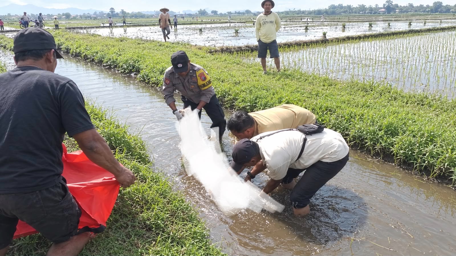 kecamatan-semboro-bantu-evakuasi-anak-yang-ditemukan-meninggal-di-sungai-tersier-rejoagung-20260729
