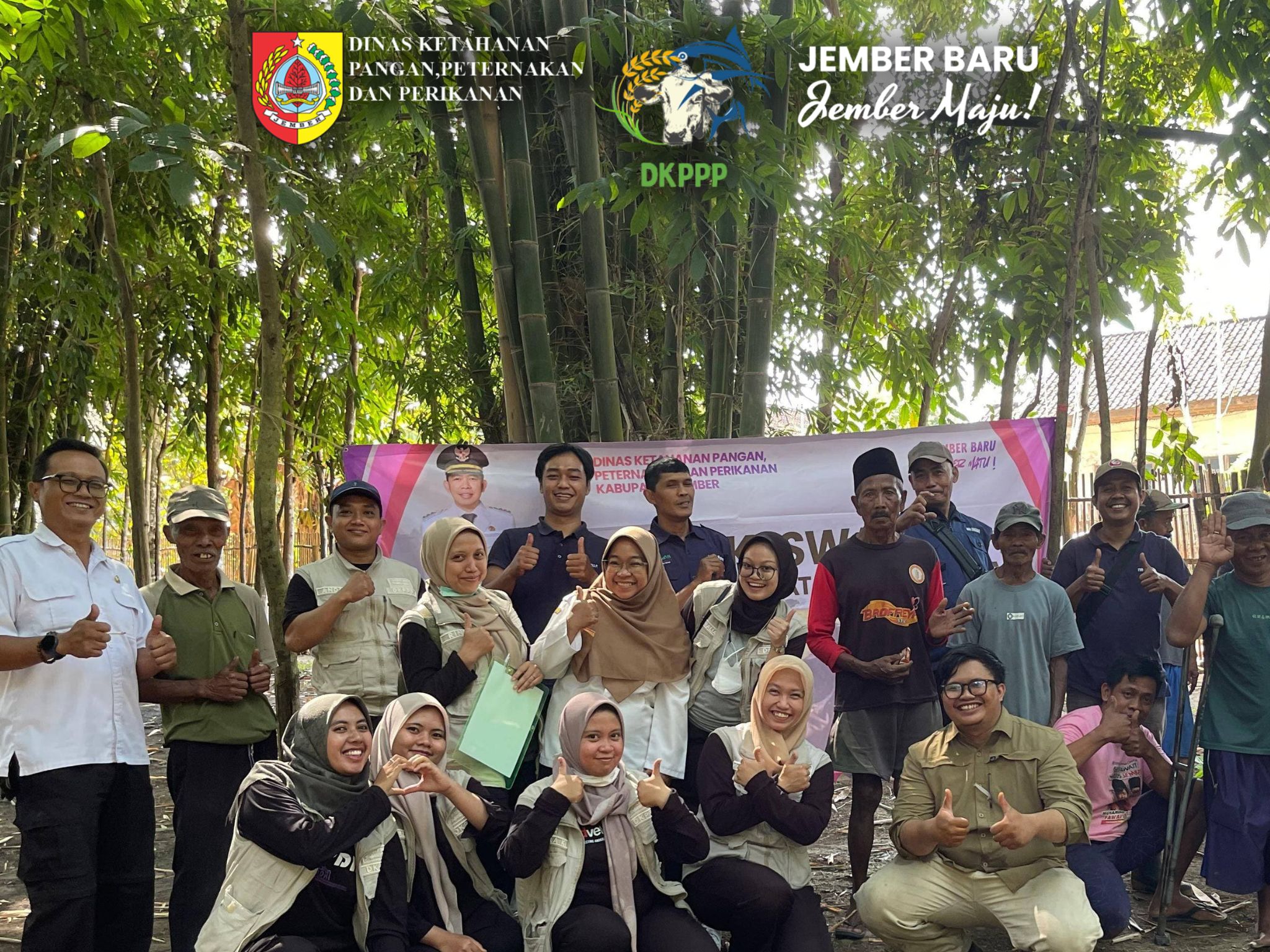 57-ekor-ternak-di-kalisat-terima-layanan-kesehatan-terpadu-dkppp-jember-perkuat-produktivitas-peternakan-rakyat-20260731
