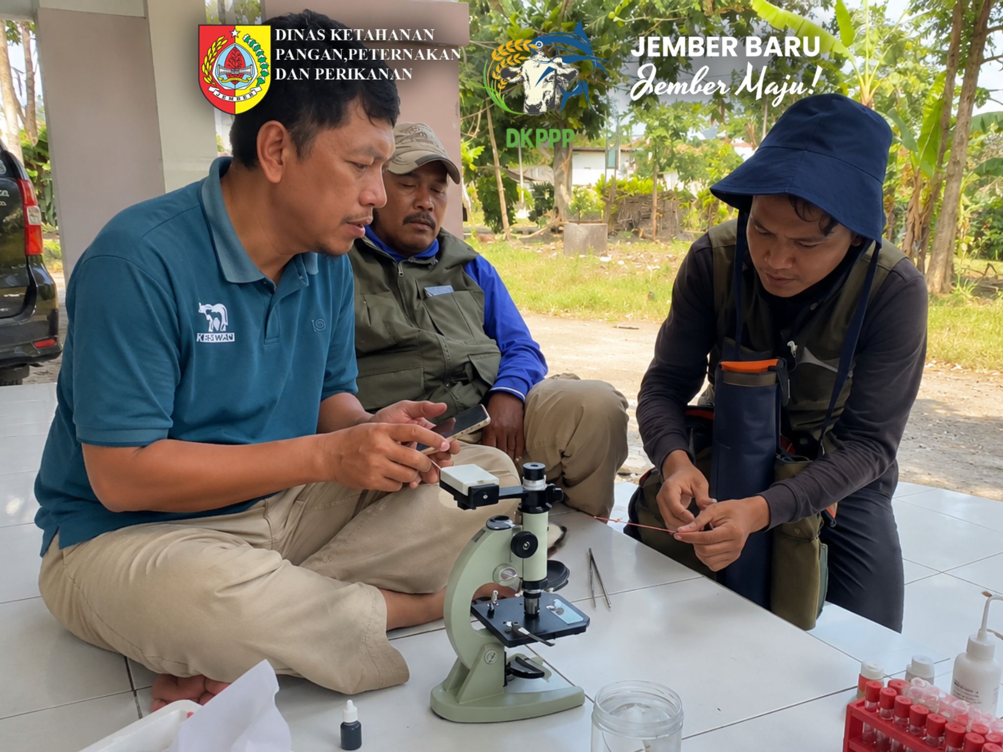 dongkrak-produktivitas-sapi-potong-dkppp-jember-intensifkan-monitoring-semen-beku-di-gumukmas-20260731