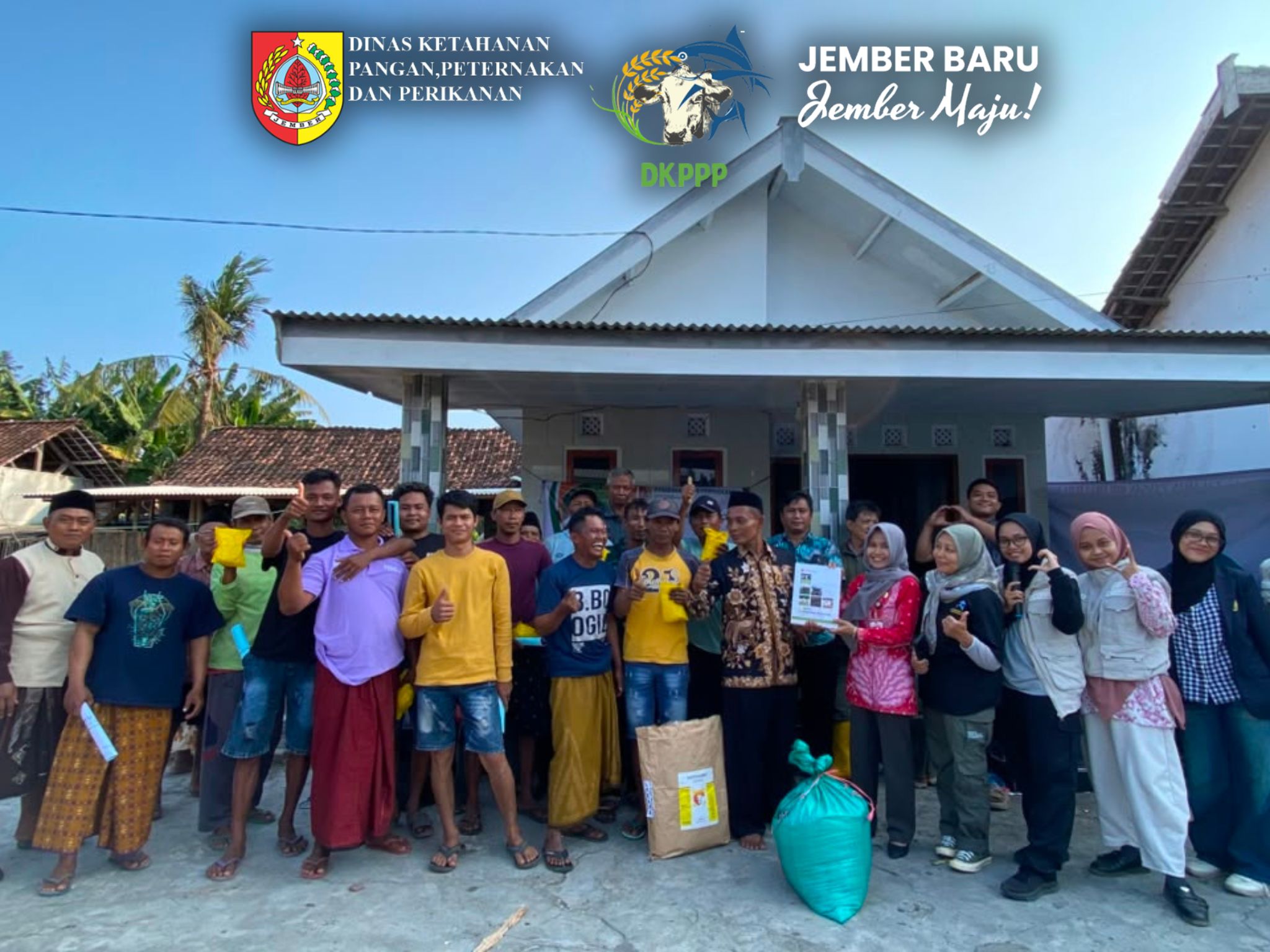 atasi-kelangkaan-pakan-musim-kemarau-dkppp-jember-latih-peternak-gumukmas-buat-silase-20260731