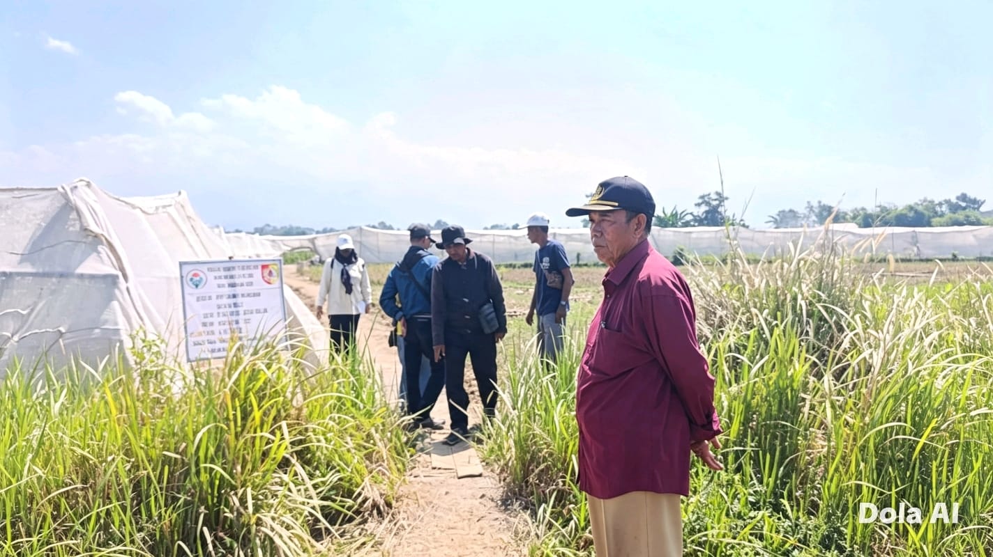 monev-bantuan-keuangan-desa-pecoro-kualitas-bangunan-dan-ketepatan-anggaran-diperiksa-menyeluruh-20260807