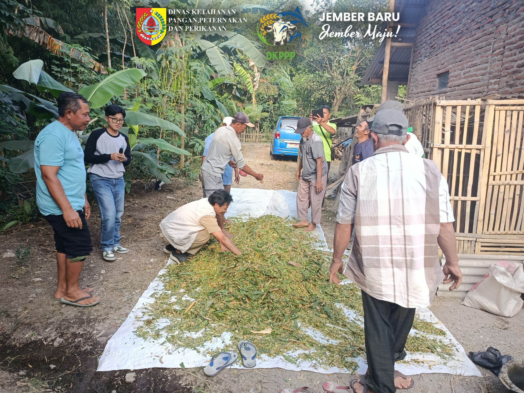 perkuat-kemandirian-pakan-dkppp-jember-bina-sidorukun-farm-lewat-teknologi-pengolahan-pakan-20260811