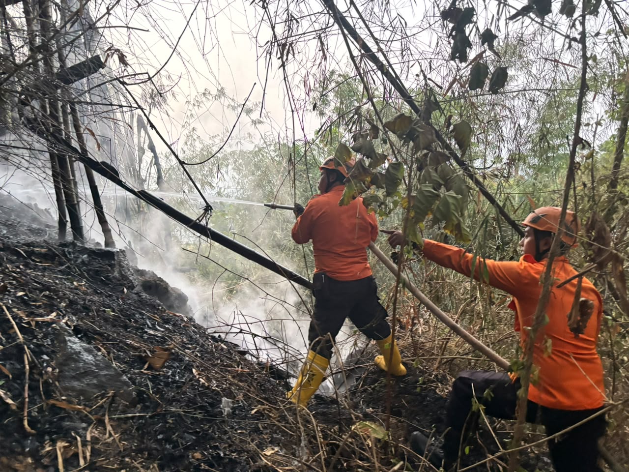 kebakaran-lahan-di-sumbersari-jember-meluas-250-meter-persegi-hangus-dilalap-api-20260816