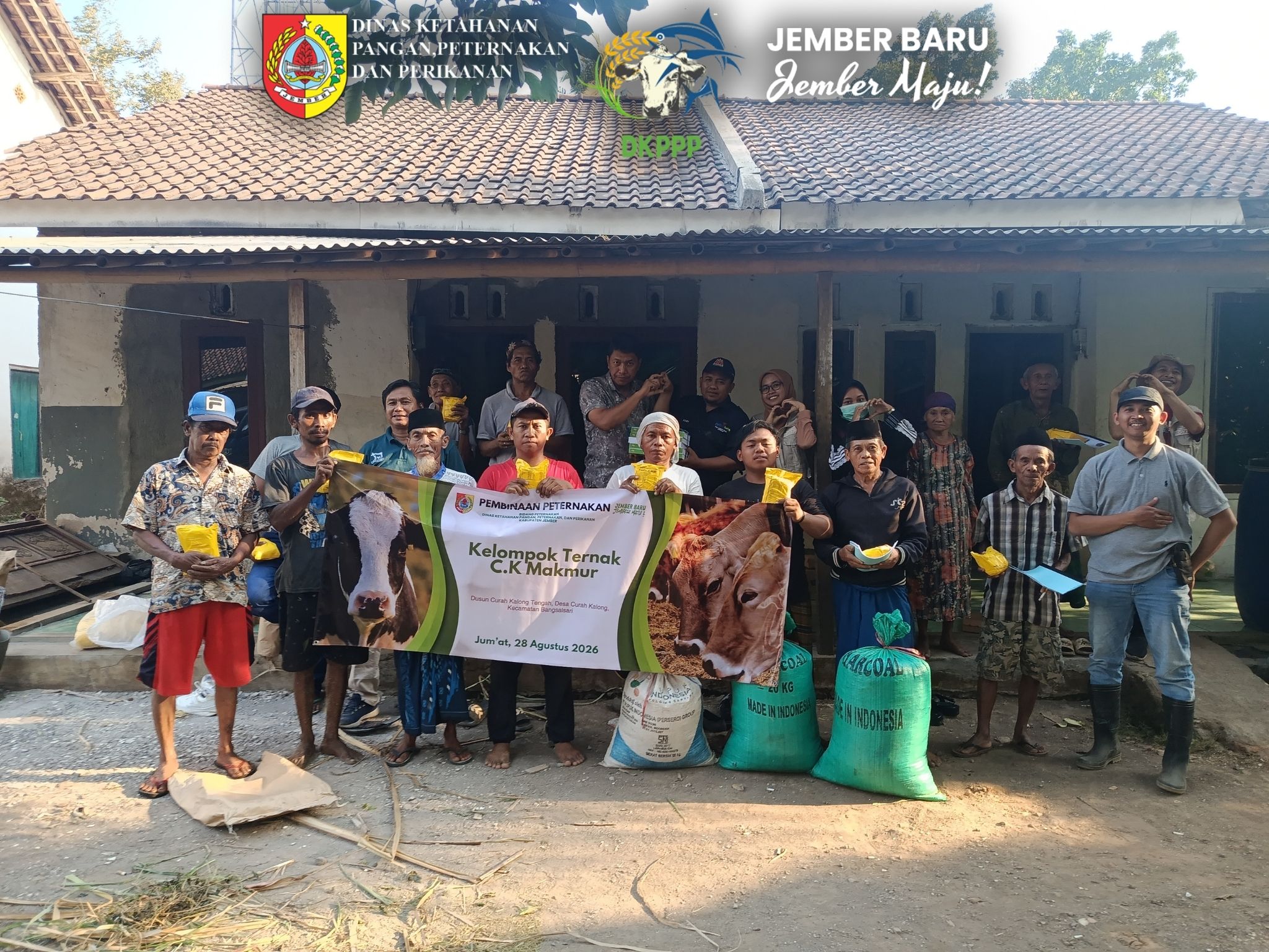 usai-pembinaan-dkppp-jember-kelompok-ternak-ck-makmur-siapkan-bank-pakan-20260831