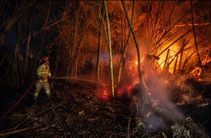 api-membesar-di-tengah-lahan-kering-antirogo-jember-2000-meter-persegi-terbakar-20260905