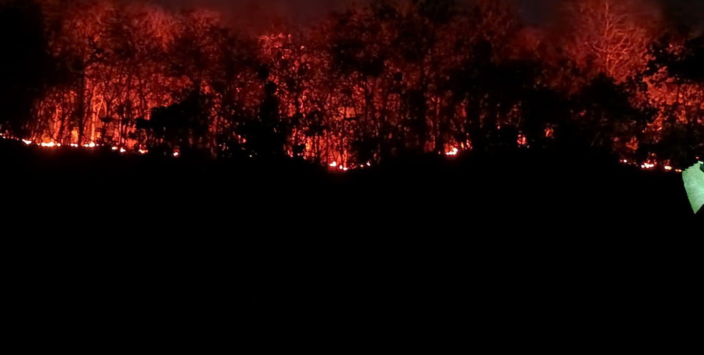 gunung-trianggulasi-kembali-terbakar-camat-gumukmas-wanti-wanti-tingkatkan-kewaspadaan-20260907