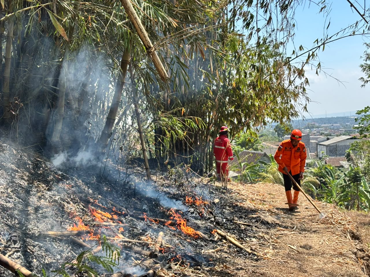 atas-dasar-laporan-warga-kecamatan-sumbersari-dan-bpbd-gerak-cepat-tangani-kebakaran-lahan-20260914
