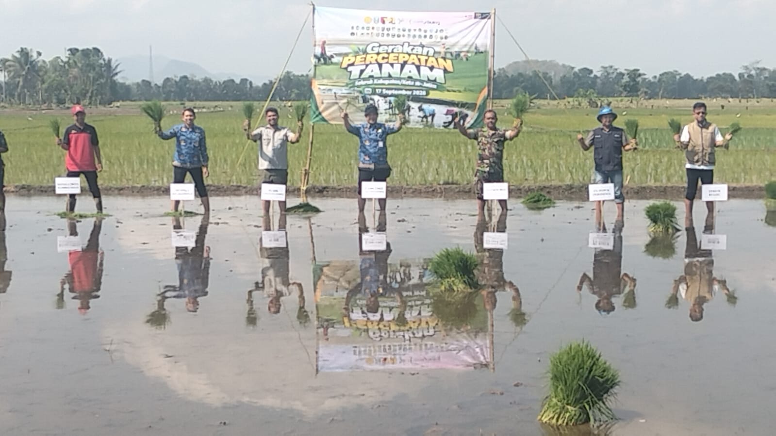 gerakan-tanam-serentak-dorong-percepatan-tanam-dan-produksi-padi-di-jember-20260918
