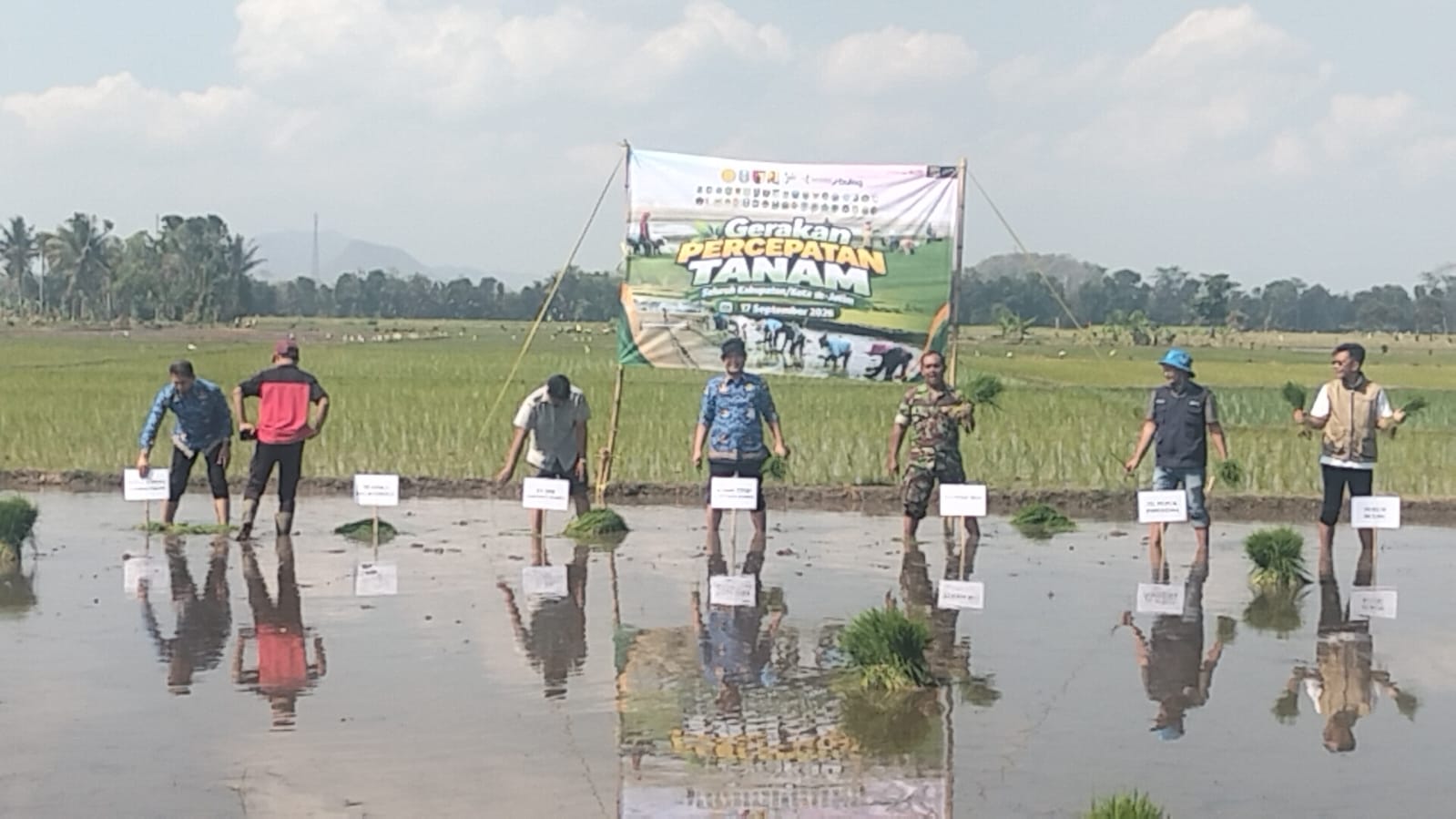 tanam-dipercepat-penyerapan-gabah-juga-harus-disiapkan-20260919