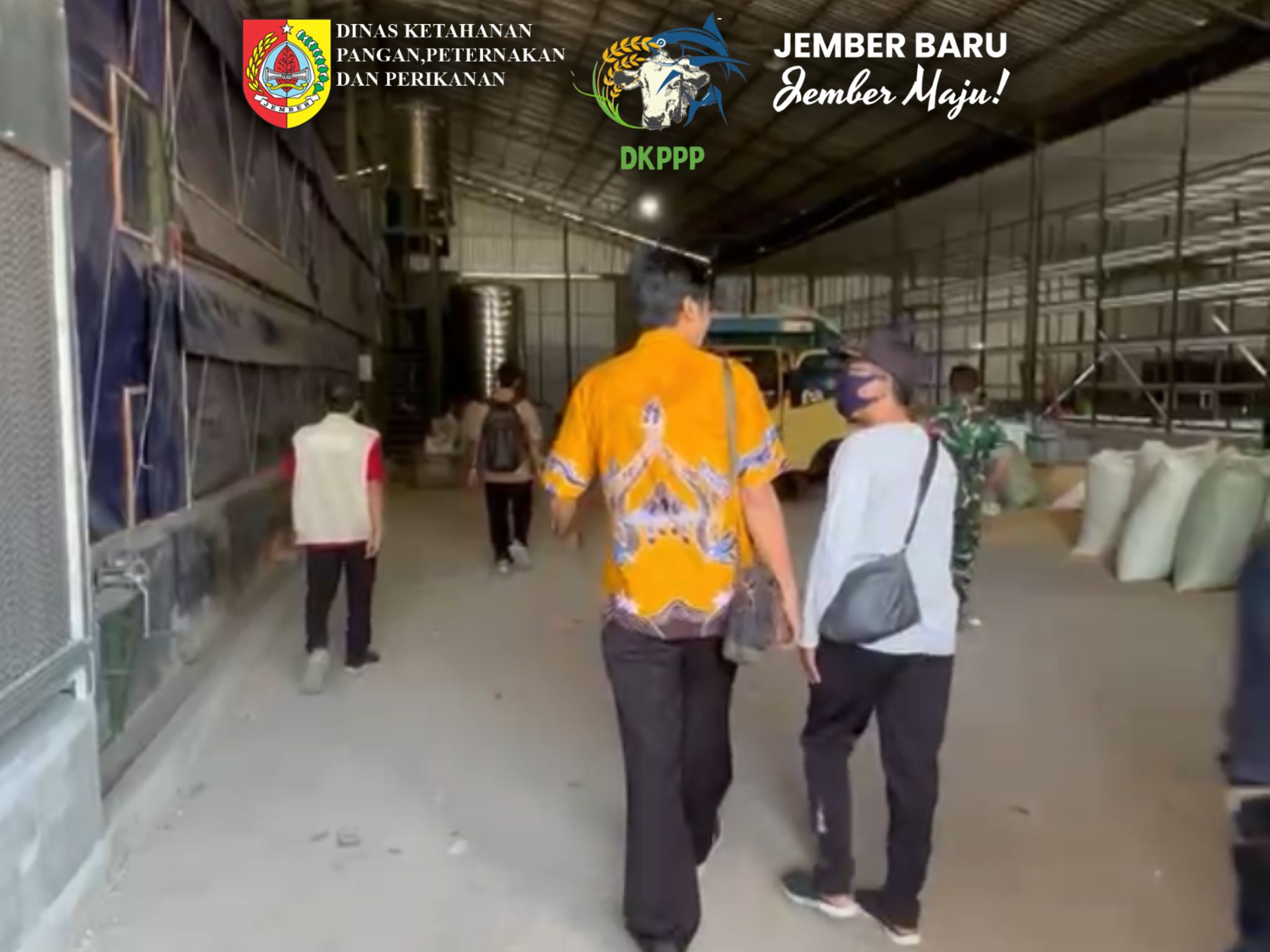 tindak-lanjut-aduan-warga-dkppp-jember-tinjau-peternakan-ayam-dan-periksa-kuda-pacuan-20261011