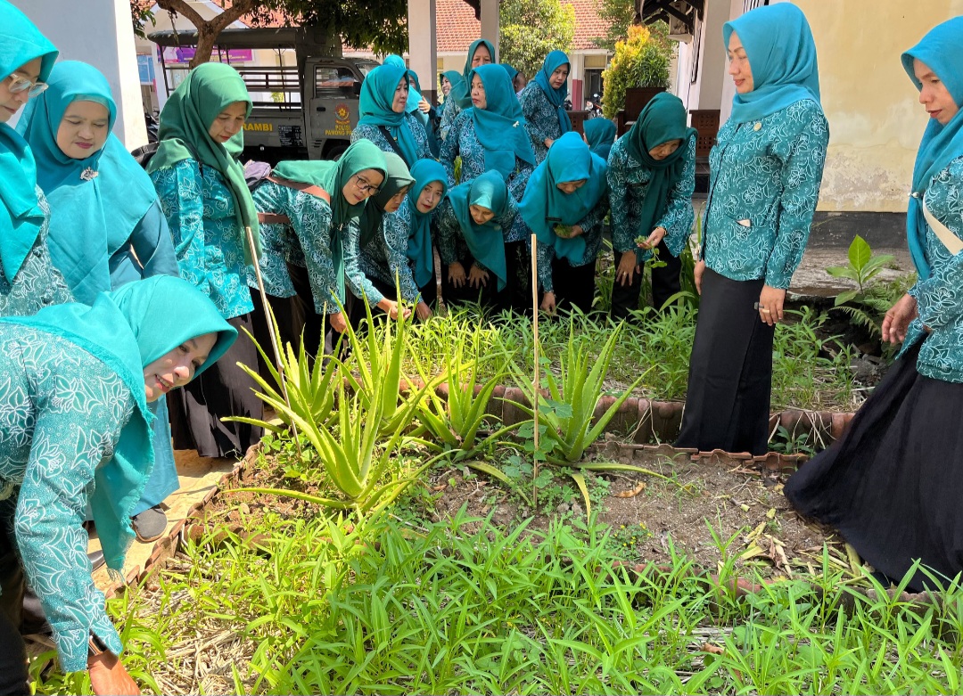 tp-pkk-sukorambi-rawat-kebun-sayur-lewat-kerja-bakti-dorong-lingkungan-produktif-20261011