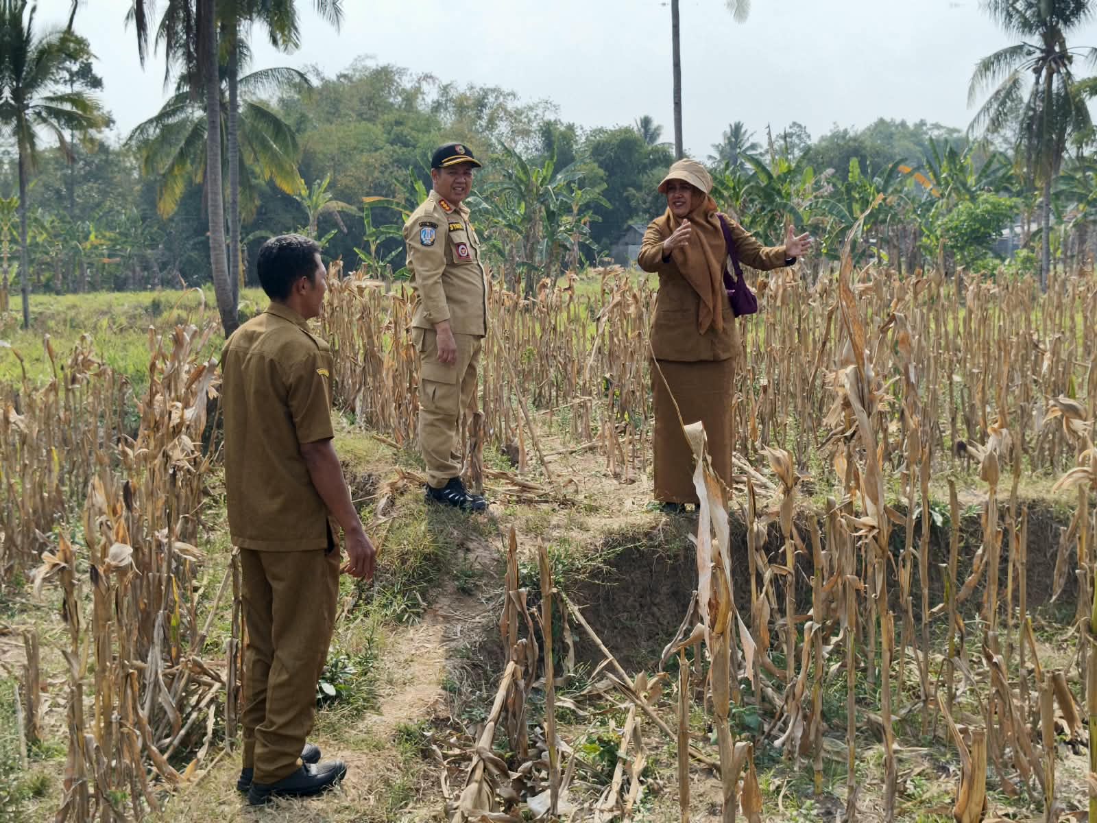 sinergi-amankan-aset-camat-patrang-dan-lurah-jumerto-ukur-lahan-budidaya-ikan-kkp-20261014