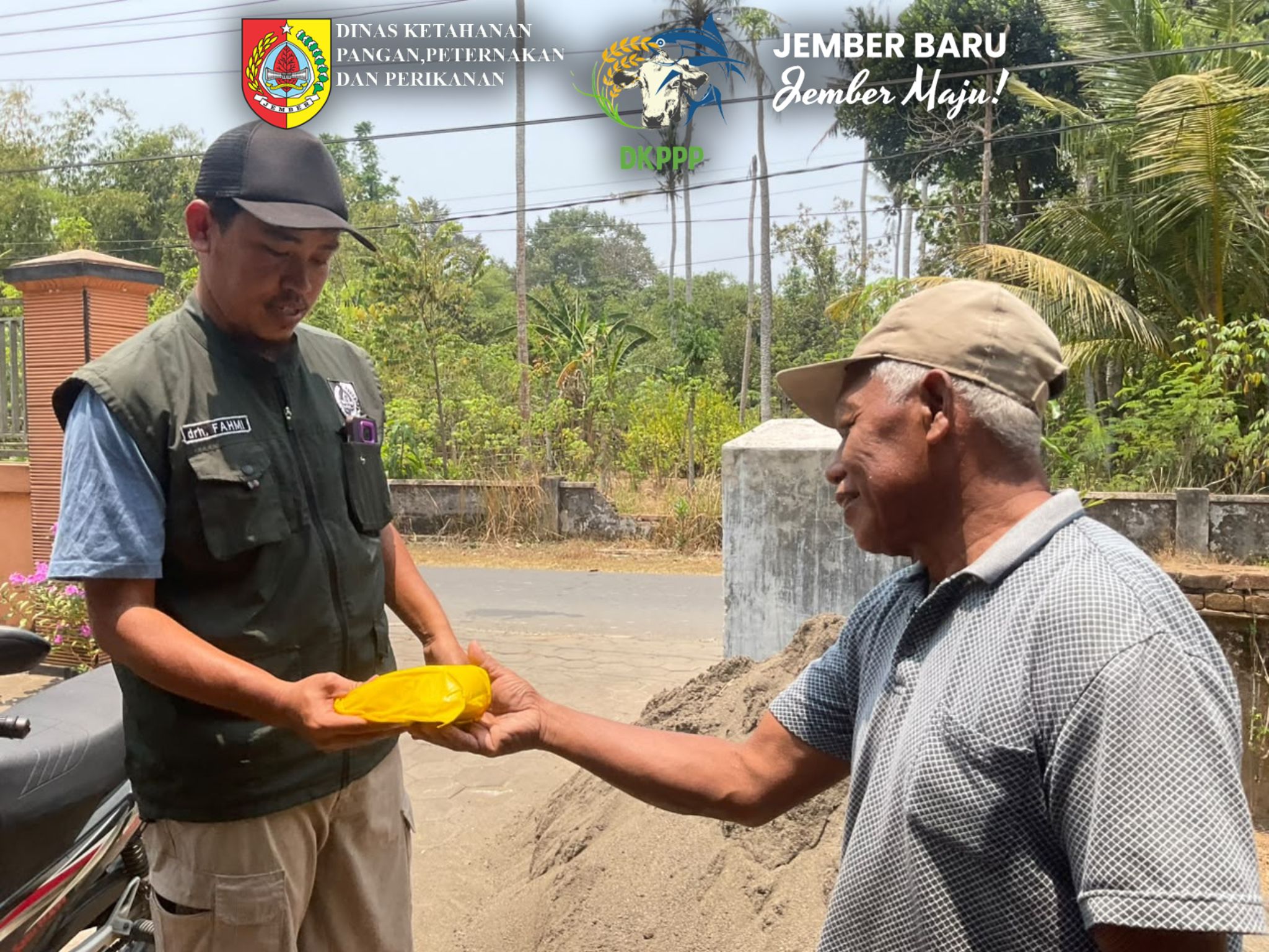 dkppp-jember-evaluasi-program-ib-domba-suffolk-gratis-20-ekor-domba-berhasil-diinseminasi-20261015