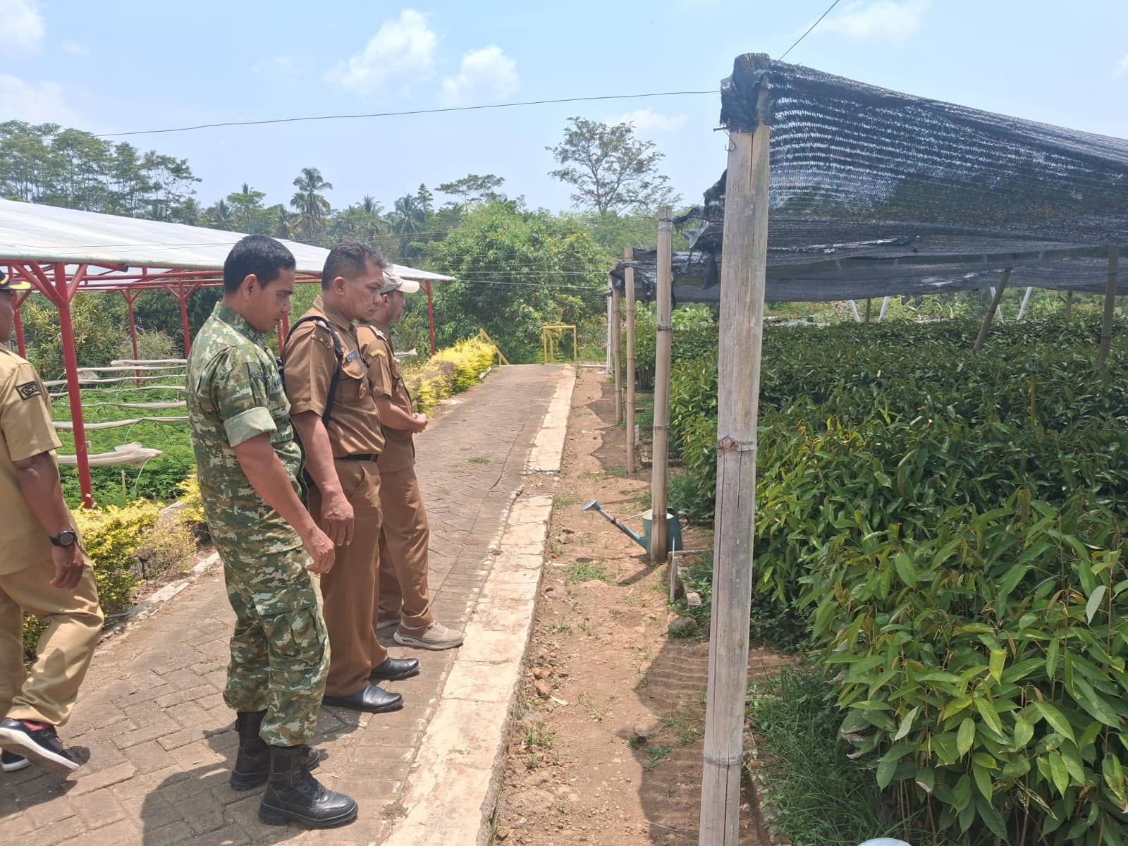 camat-sukorambi-bersama-muspika-monev-persemaian-permanen-karangpring-evaluasi-produktivitas-musim-kemarau-20261021